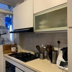 Tanglin Park (D10), Condominium #557817331